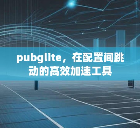 pubglite，在配置间跳动的高效加速工具