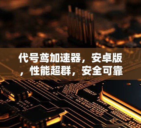 代号鸢加速器，安卓版，性能超群，安全可靠，支持多种设备