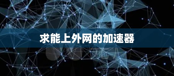 求能上外网的加速器