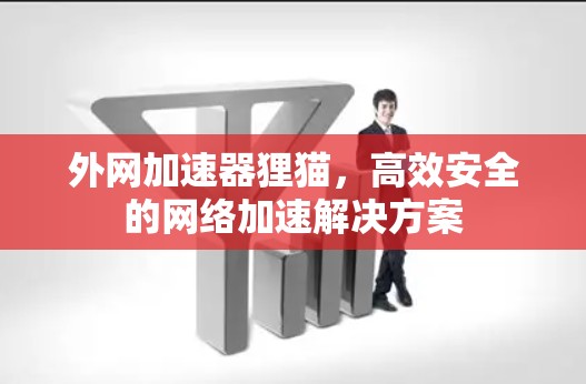 外网加速器狸猫，高效安全的网络加速解决方案