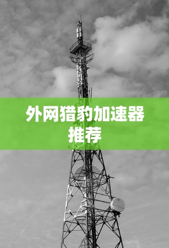 外网猎豹加速器推荐 外网猎豹加速器推荐