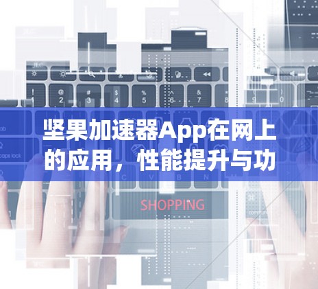 坚果加速器App在网上的应用,性能提升与功能多样性 坚果加速器App在网上的应用,性能提升与功能多样性