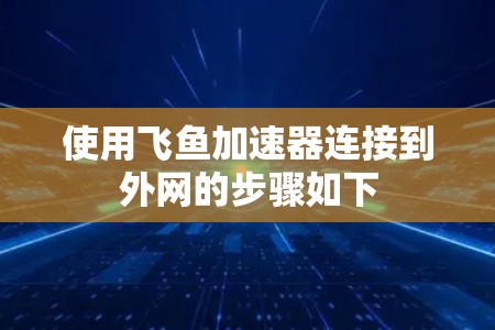 使用飞鱼加速器连接到外网的步骤如下
