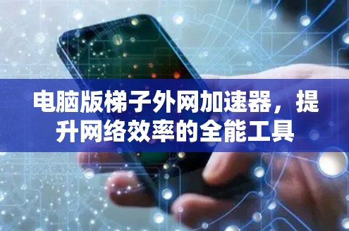 电脑版<strong>梯子</strong>外网加速器，提升网络效率的全能工具