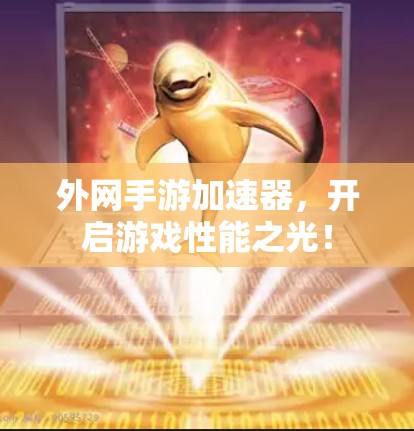 外网手游加速器，开启游戏性能之光！