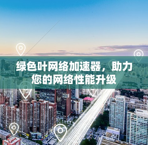绿色叶网络加速器，助力您的网络性能升级