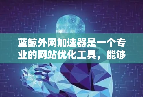 蓝鲸外网加速器是一个专业的网站优化工具，能够显著提升网站加载速度，减少服务器请求和资源消耗。以下是关于蓝鲸外网加速器的详细指南