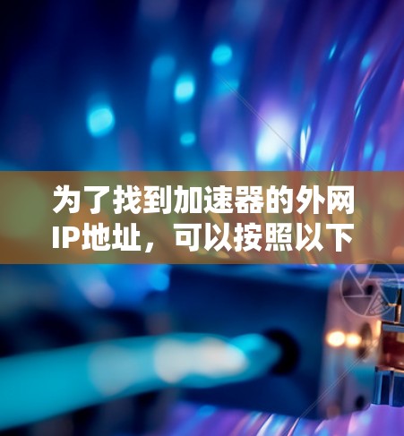 为了找到加速器的外网IP地址，可以按照以下步骤进行