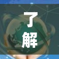 了解加速器外网的参数和配置是优化数据传输和提升加速器性能的关键。以下是一些具体的步骤和建议