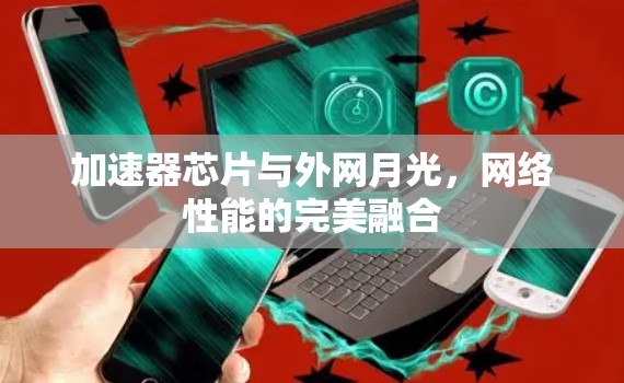 加速器芯片与外网月光，网络性能的完美融合