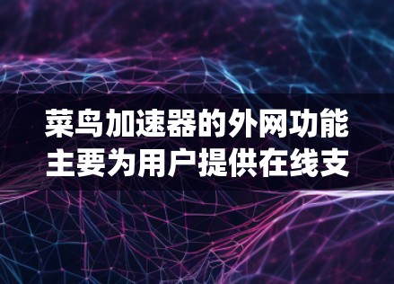 菜鸟加速器的外网功能主要为用户提供在线支付的便捷服务，适用于经常使用快递app或网站进行支付的用户。以下是外网支付的主要功能和步骤