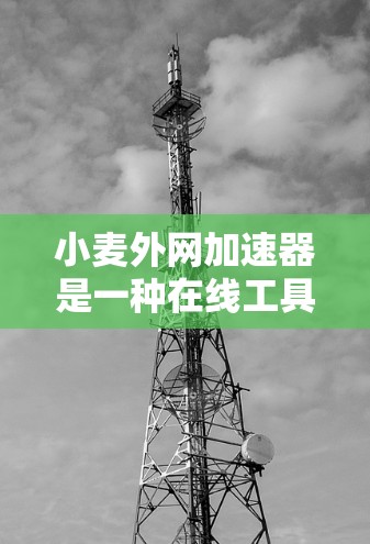小麦外网加速器是一种在线工具，旨在帮助用户更快地下载文件或网站。以下是对小麦外网加速器的详细总结