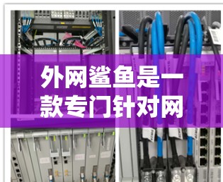 外网鲨鱼是一款专门针对网络缓存管理的电脑加速器，旨在优化电脑性能和减少网络延迟。以下是详细的使用指南和信息