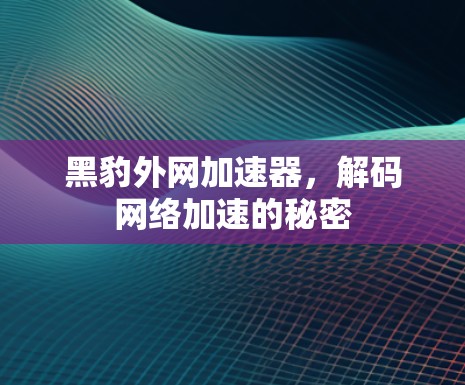 黑豹外网加速器,解码网络加速的秘密 黑豹外网加速器,解码网络加速的秘密