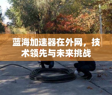 蓝海加速器在外网，技术领先与未来挑战