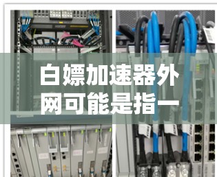 白嫖加速器外网可能是指一种通过快速提升网络速度的技术工具或方法，类似于白嫖这种不劳而获的手段。在技术领域，加速器可以帮助用户提升网络速度，从而更高效地使用互联网