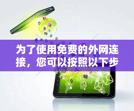 为了使用免费的外网连接，您可以按照以下步骤操作