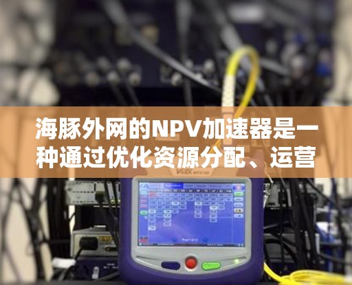 海豚外网的NPV加速器是一种通过优化资源分配、运营策略和定价策略等方法来提高投资项目的净现值(NPV)的工具。以下是对其的详细分析 海豚外网的NPV加速器是一种通过优化资源分配、运营策略和定价策略等方法来提高投资项目的净现值(NPV)的工具。以下是对其的详细分析
