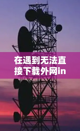 在遇到无法直接下载外网ins时，可以尝试以下步骤来解决问题