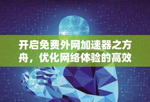 开启免费外网加速器之方舟,优化网络体验的高效解决方案 开启免费外网加速器之方舟,优化网络体验的高效解决方案
