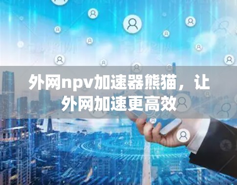外网npv加速器熊猫，让外网加速更高效