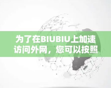 为了在BIUBIU上加速访问外网，您可以按照以下步骤进行操作