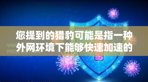 您提到的猎豹可能是指一种外网环境下能够快速加速的工具或软件。如果您指的是猎豹作为一种网络加速软件，或者在特定环境下提供网络加速功能，您可以提供更多信息以便进一步解答