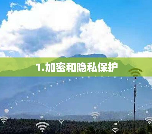 1.加密和隐私保护
