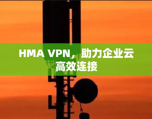 HMA VPN,助力企业云高效连接 HMA VPN,助力企业云高效连接