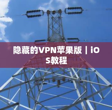 隐藏的VPN苹果版｜iOS教程