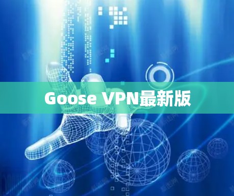 Goose VPN最新版