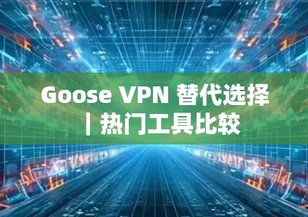 Goose VPN 替代选择|热门工具比较 Goose VPN 替代选择|热门工具比较