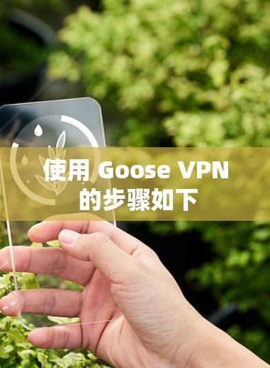 使用 Goose VPN 的步骤如下