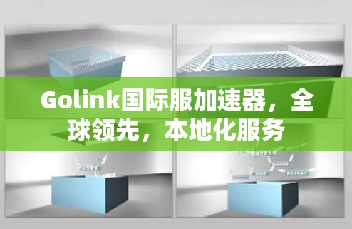 Golink国际服加速器，全球领先，本地化服务
