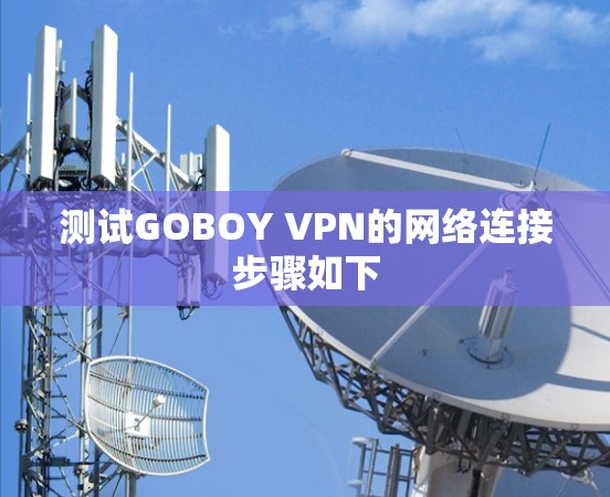 测试GOBOY VPN的网络连接步骤如下