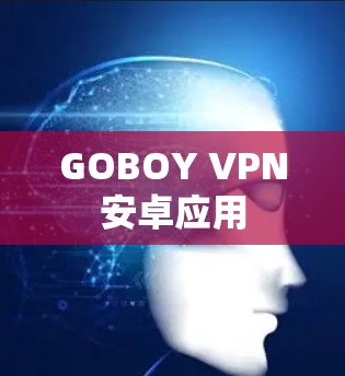 GOBOY VPN安卓应用 GOBOY VPN安卓应用