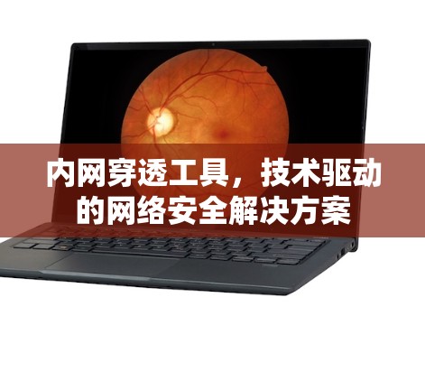 内网穿透工具,技术驱动的网络安全解决方案 内网穿透工具,技术驱动的网络安全解决方案