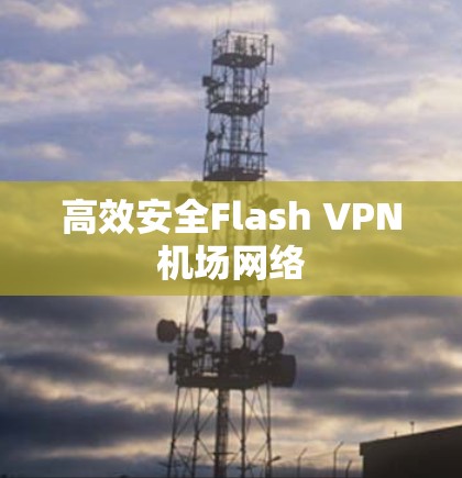 高效安全Flash VPN机场网络 高效安全Flash VPN机场网络