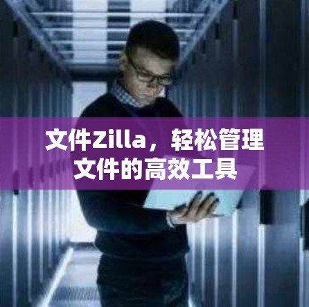 文件Zilla,轻松管理文件的高效工具 文件Zilla,轻松管理文件的高效工具