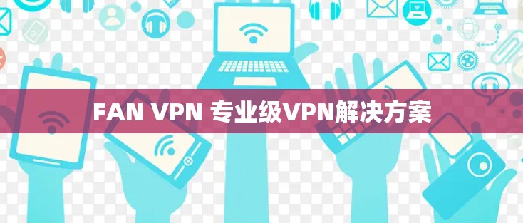 FAN VPN 专业级VPN解决方案 FAN VPN 专业级VPN解决方案
