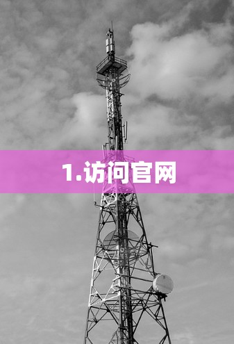 1.访问官网 1.访问官网