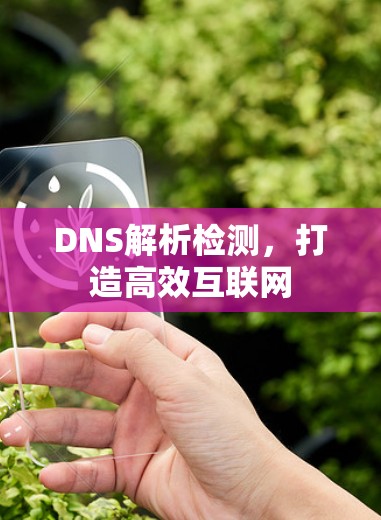 DNS解析检测，打造高效互联网