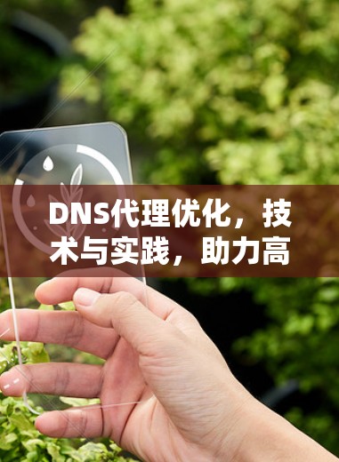 DNS代理优化,技术与实践,助力高效通信体验 DNS代理优化,技术与实践,助力高效通信体验