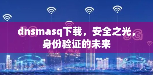 dnsmasq下载，安全之光，身份验证的未来