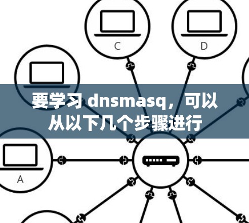 要学习 dnsmasq，可以从以下几个步骤进行