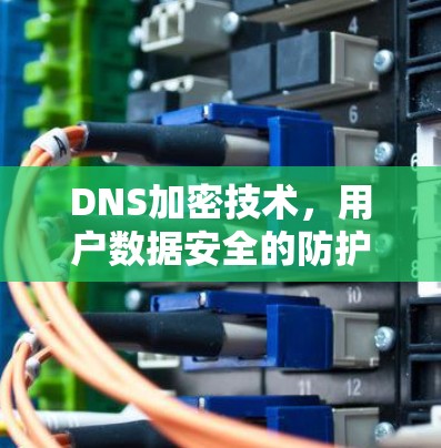 DNS加密技术，用户数据安全的防护工具
