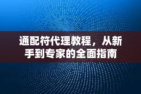 通配符代理教程，从新手到专家的全面指南