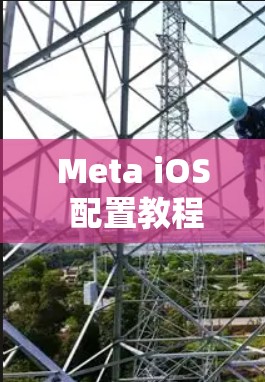 Meta iOS 配置教程