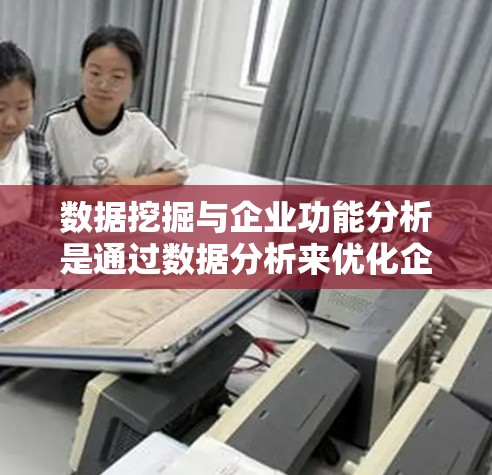 数据挖掘与企业功能分析是通过数据分析来优化企业业务流程和提升效率的领域。以下是对这一过程的详细分析和总结