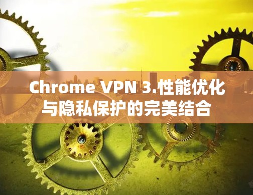 Chrome VPN 3.性能优化与隐私保护的完美结合